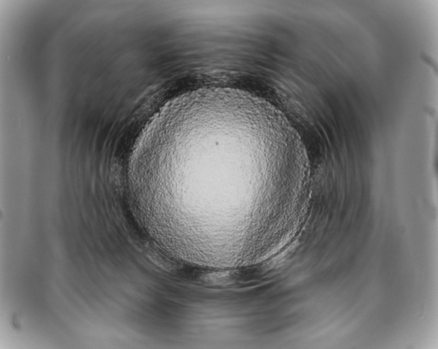 X0000096420178200802141643