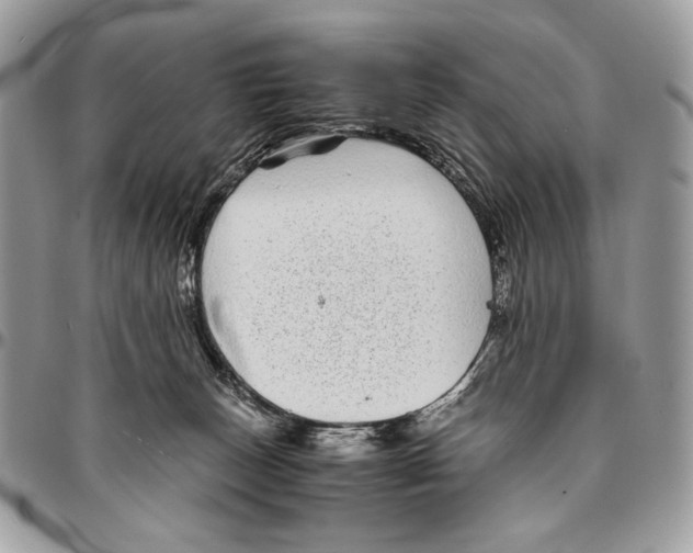 X0000096420179200802141643