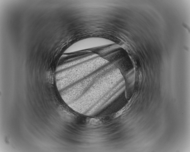 X0000096420180200802141643