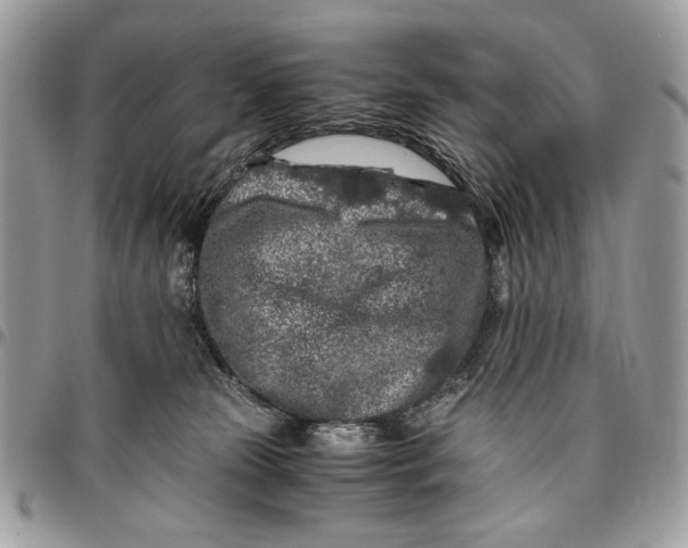 X0000096420181200802141643