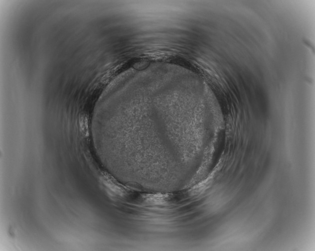 X0000096420182200802141643