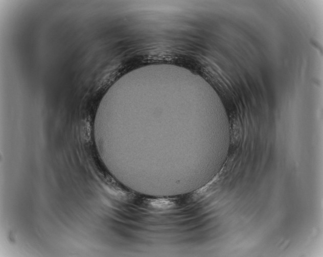 X0000096420183200802141643