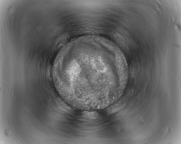 X0000096420185200802141643