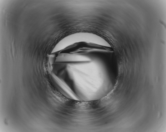 X0000096420186200802141643