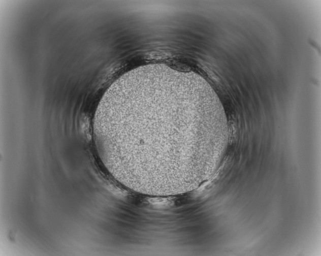 X0000096420187200802141643