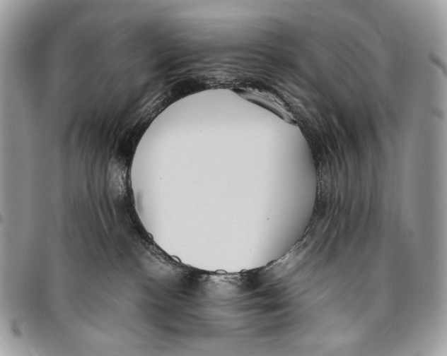 X0000096420188200802141643