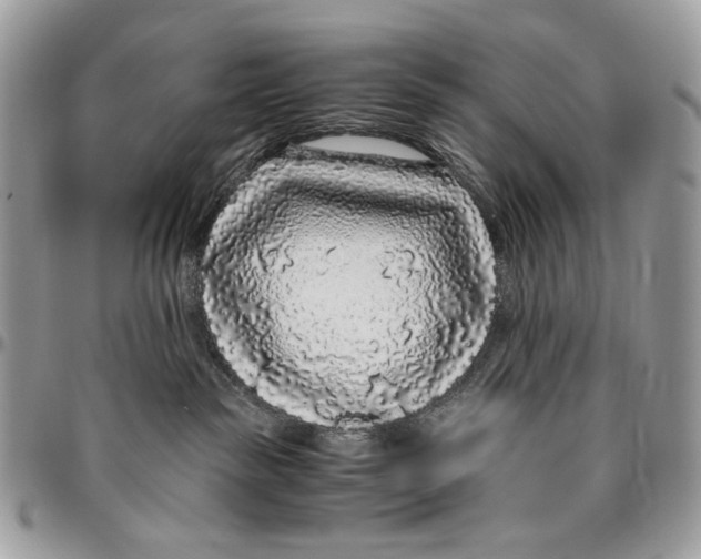 X0000096420189200802141643