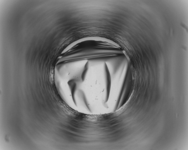 X0000096420190200802141643