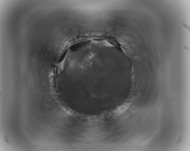 X0000096420192200802141643