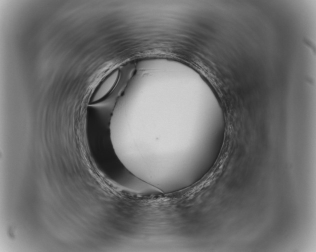 X0000096420193200802141642