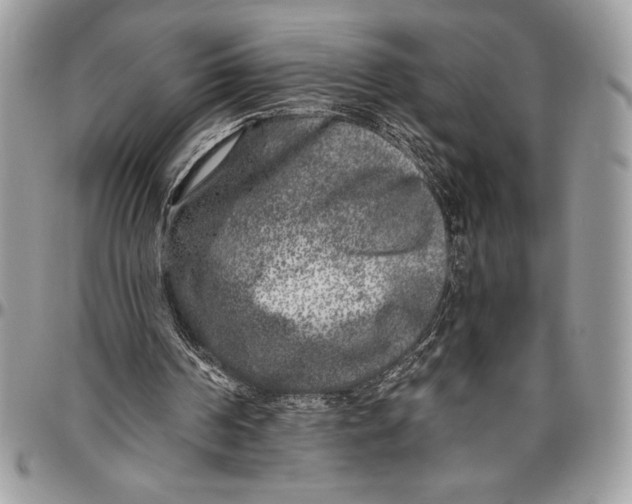 X0000096420194200802141642