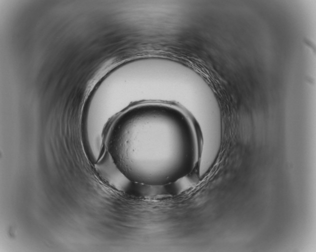 X0000096420195200802141642