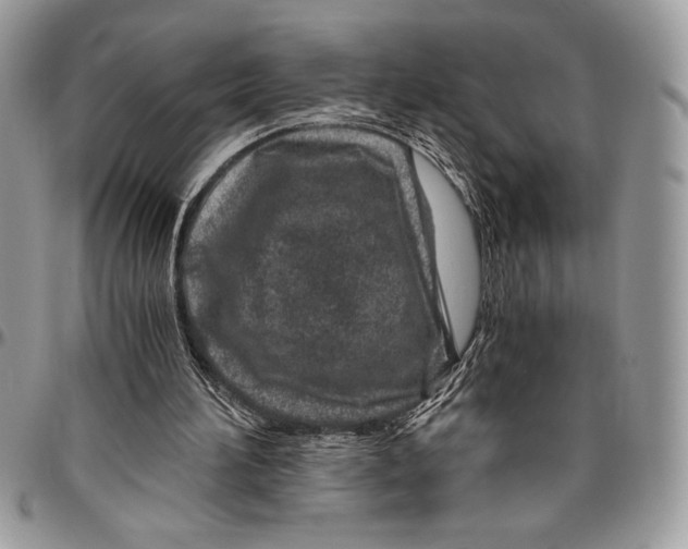 X0000096420196200802141642