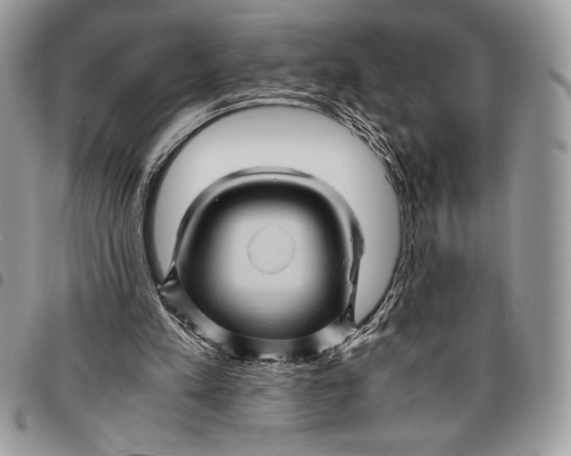 X0000096420197200802141642