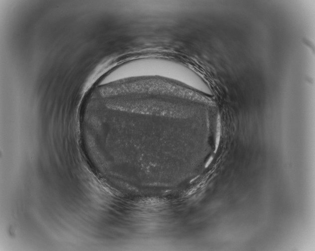 X0000096420198200802141642