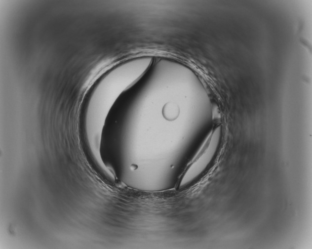 X0000096420199200802141642