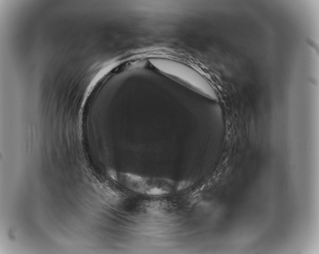 X0000096420200200802141642