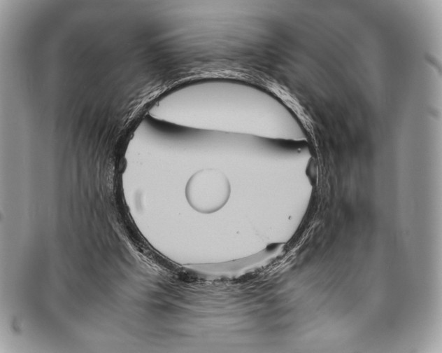 X0000096420201200802141642