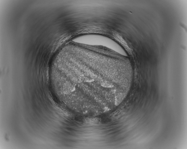 X0000096420202200802141642