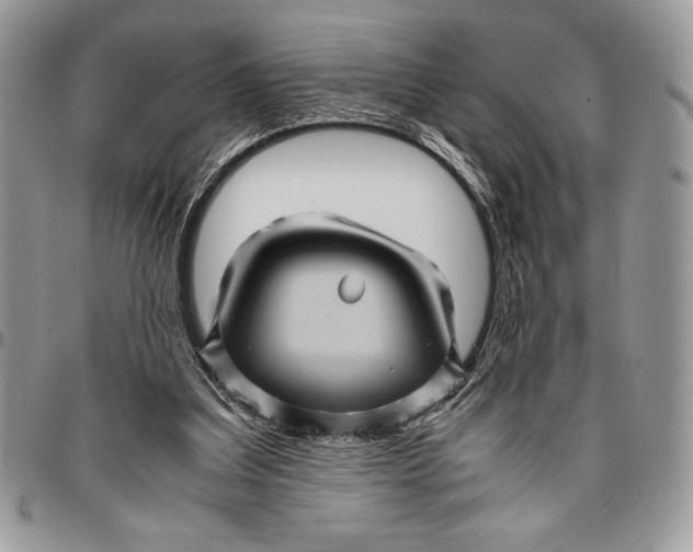 X0000096420203200802141642