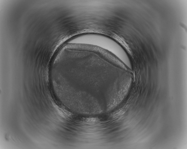 X0000096420204200802141642