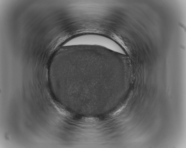 X0000096420205200802141642