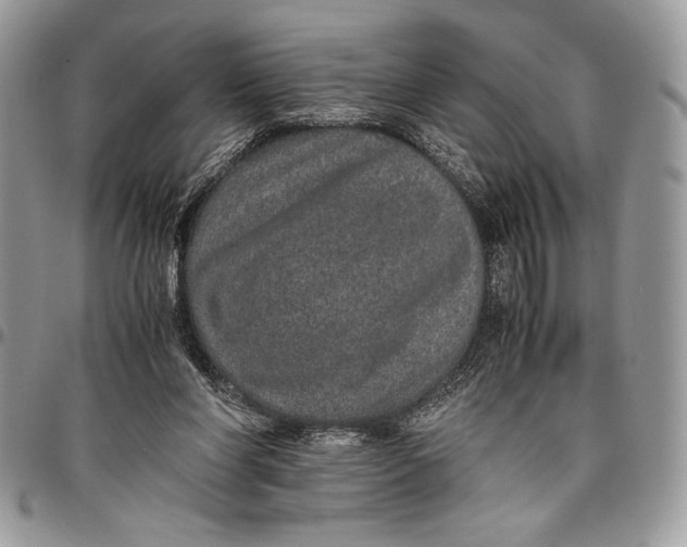 X0000096420206200802141642