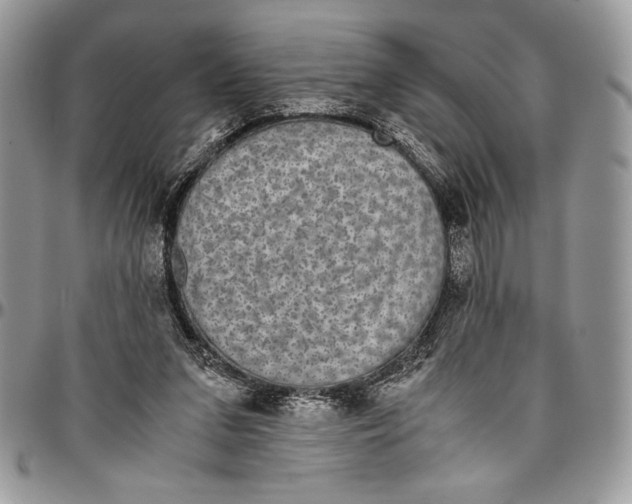 X0000096420207200802141642