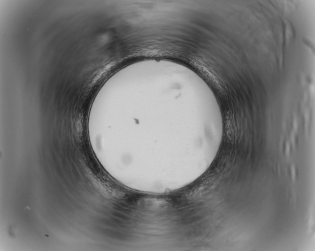 X0000096420208200802141642