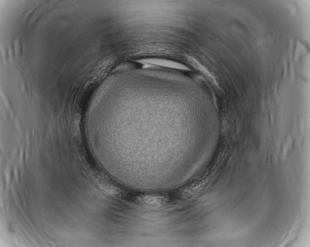 X0000096420209200802141642