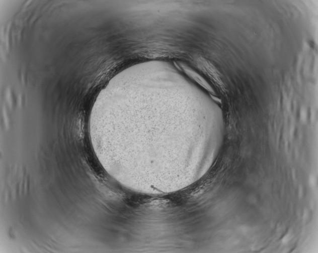 X0000096420210200802141642