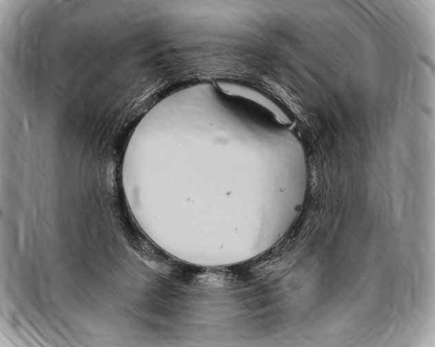 X0000096420211200802141642