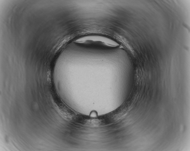 X0000096420212200802141642