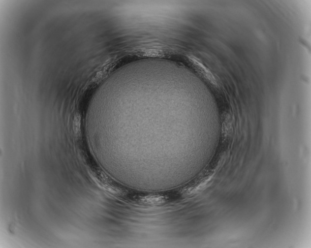 X0000096420213200802141642