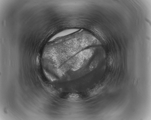 X0000096420214200802141642