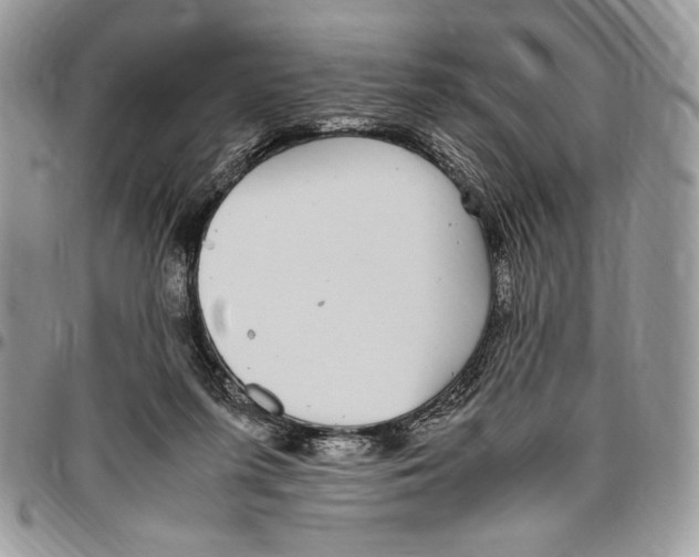 X0000096420215200802141642