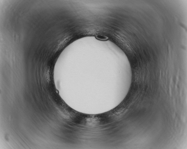 X0000096420216200802141642