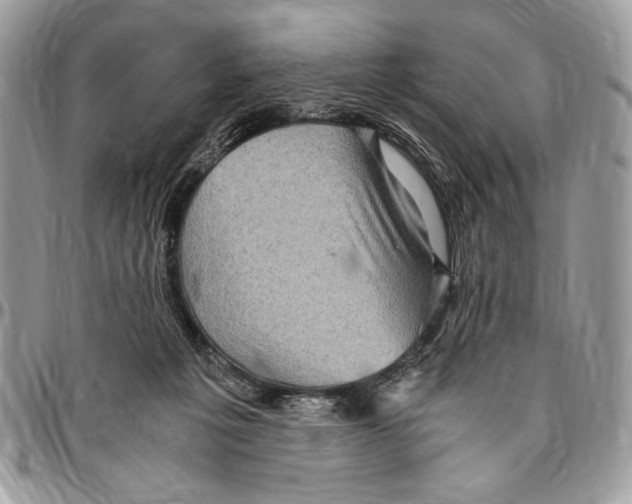 X0000096420217200802141642