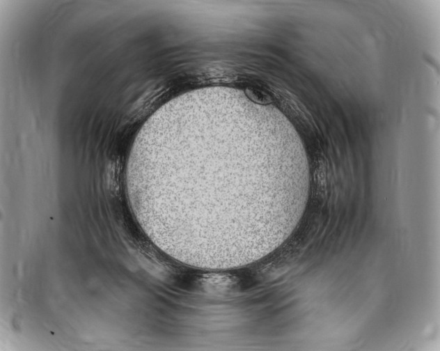 X0000096420218200802141642