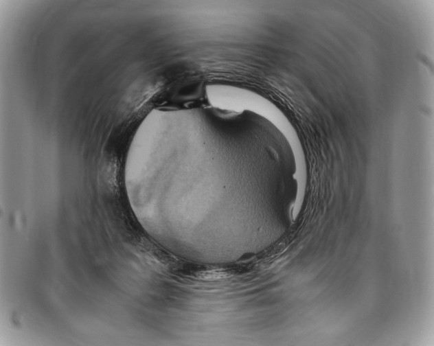 X0000096420219200802141642