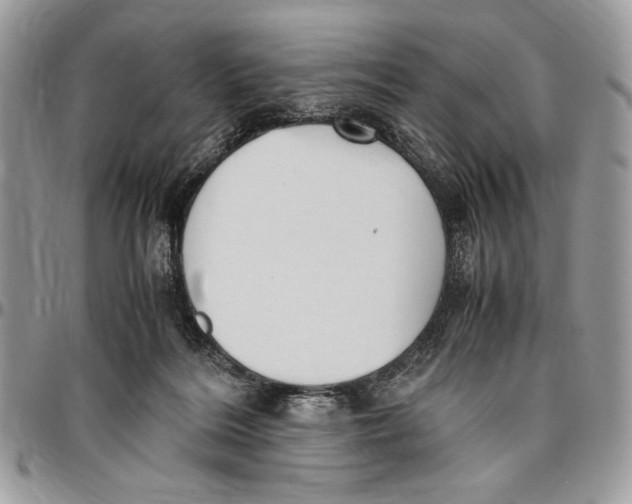 X0000096420220200802141642