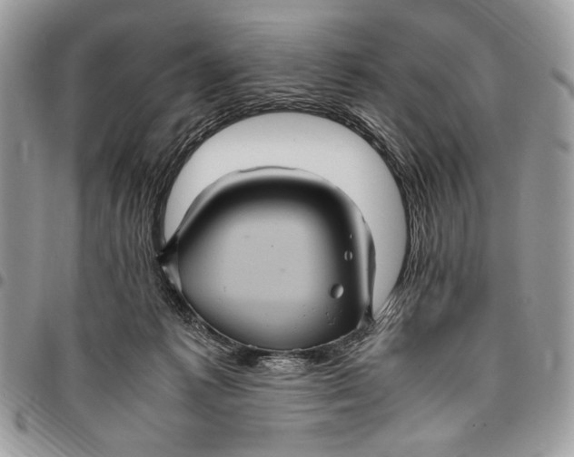 X0000096420221200802141642