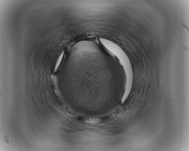 X0000096420223200802141642