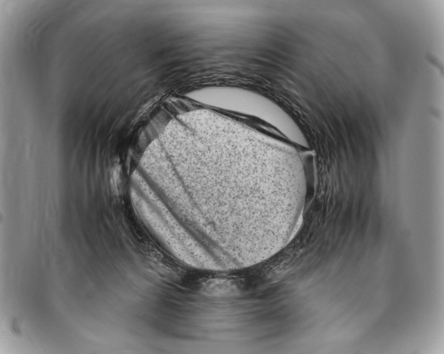 X0000096420224200802141642