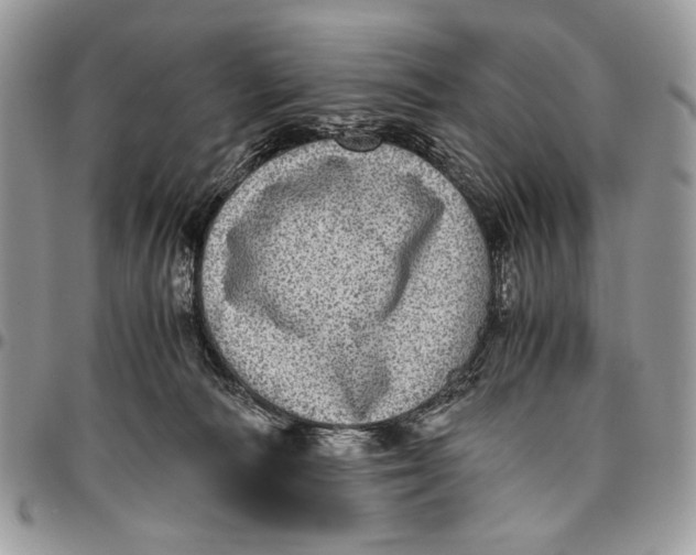 X0000096420226200802141642