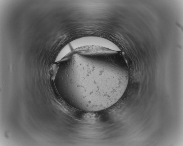 X0000096420227200802141642