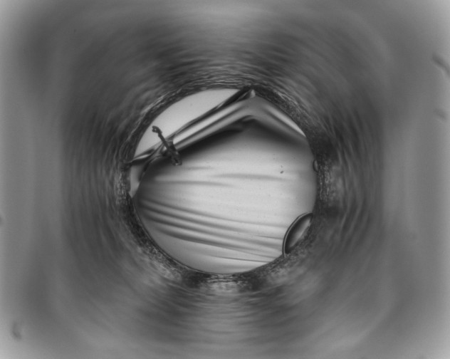 X0000096420228200802141642