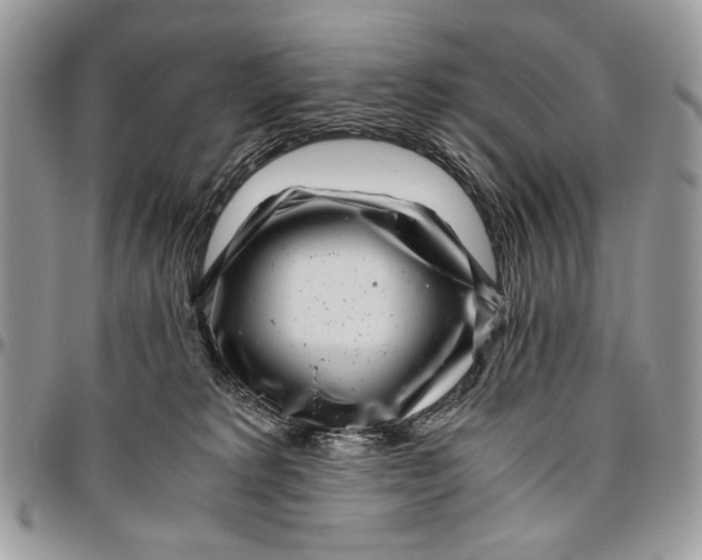 X0000096420229200802141642