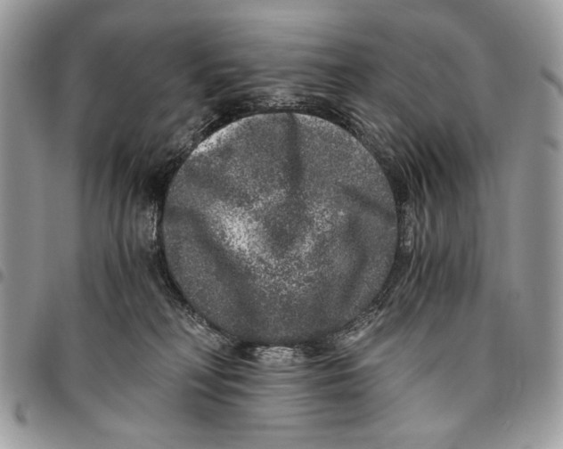 X0000096420230200802141642