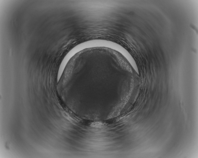 X0000096420231200802141642